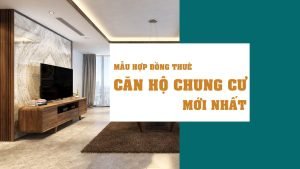 Các điều khoản quan trọng trong hợp đồng thuê căn hộ